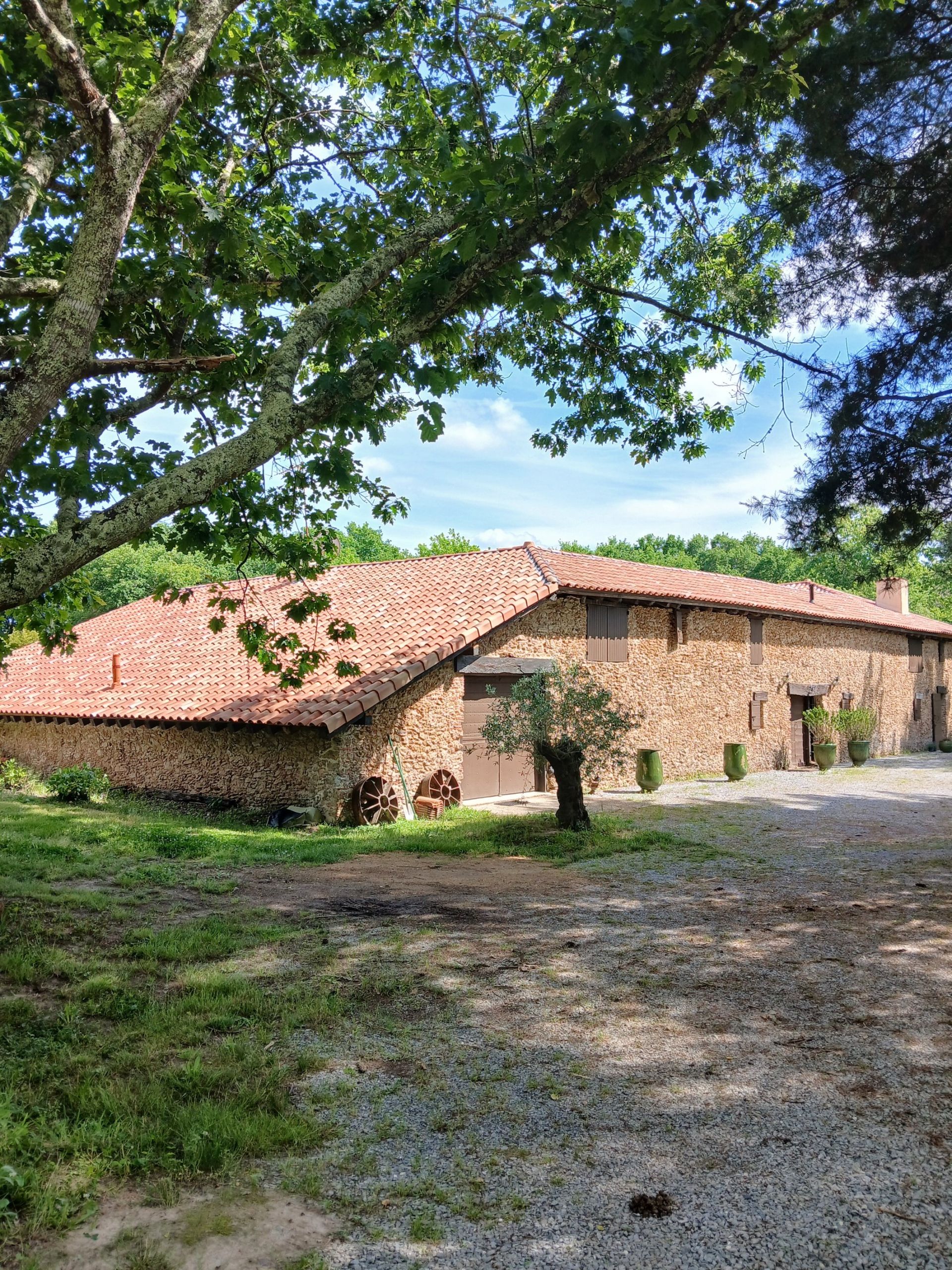 farm complex 10 rooms for sale on BOUGUE (40090)