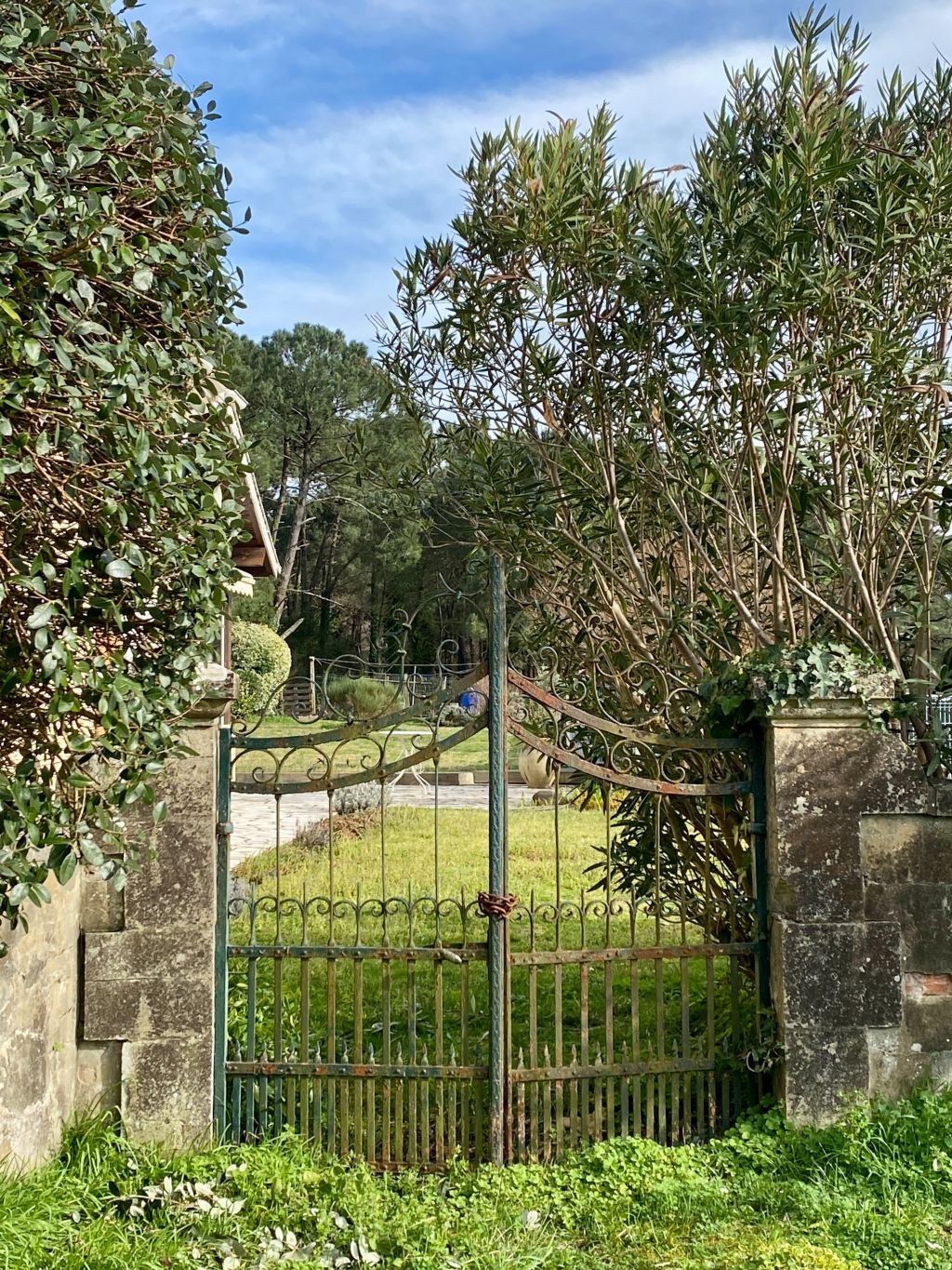 house 12 rooms for sale on SEIGNOSSE (40510)