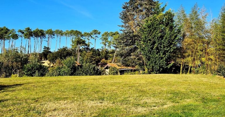 Wooded land close to shops